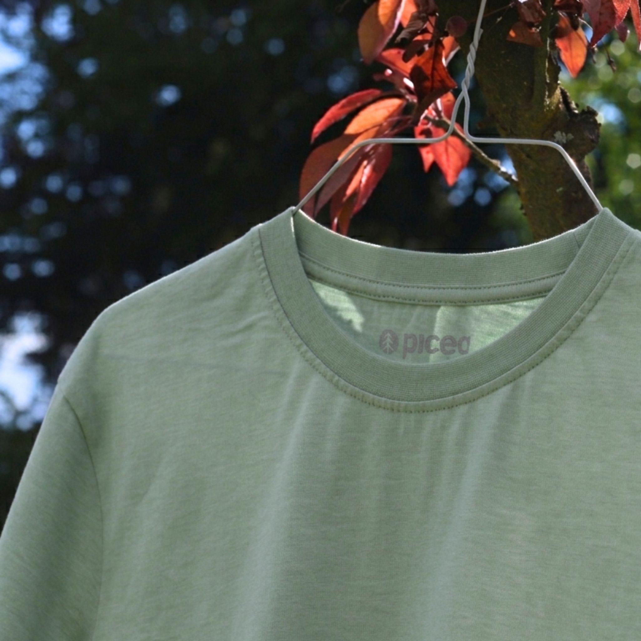 Your Daily Sunset T-Shirt Salbei Grün
